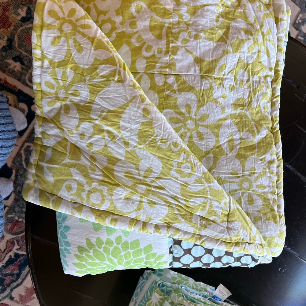 Pottery Barn Teen Floral Quilt in Lime and Mint and set of matching sheets